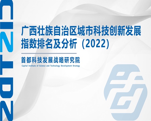 ,www操逼com【成果发布】广西壮族自治区城市科技创新发展指数排名及分析（2022）